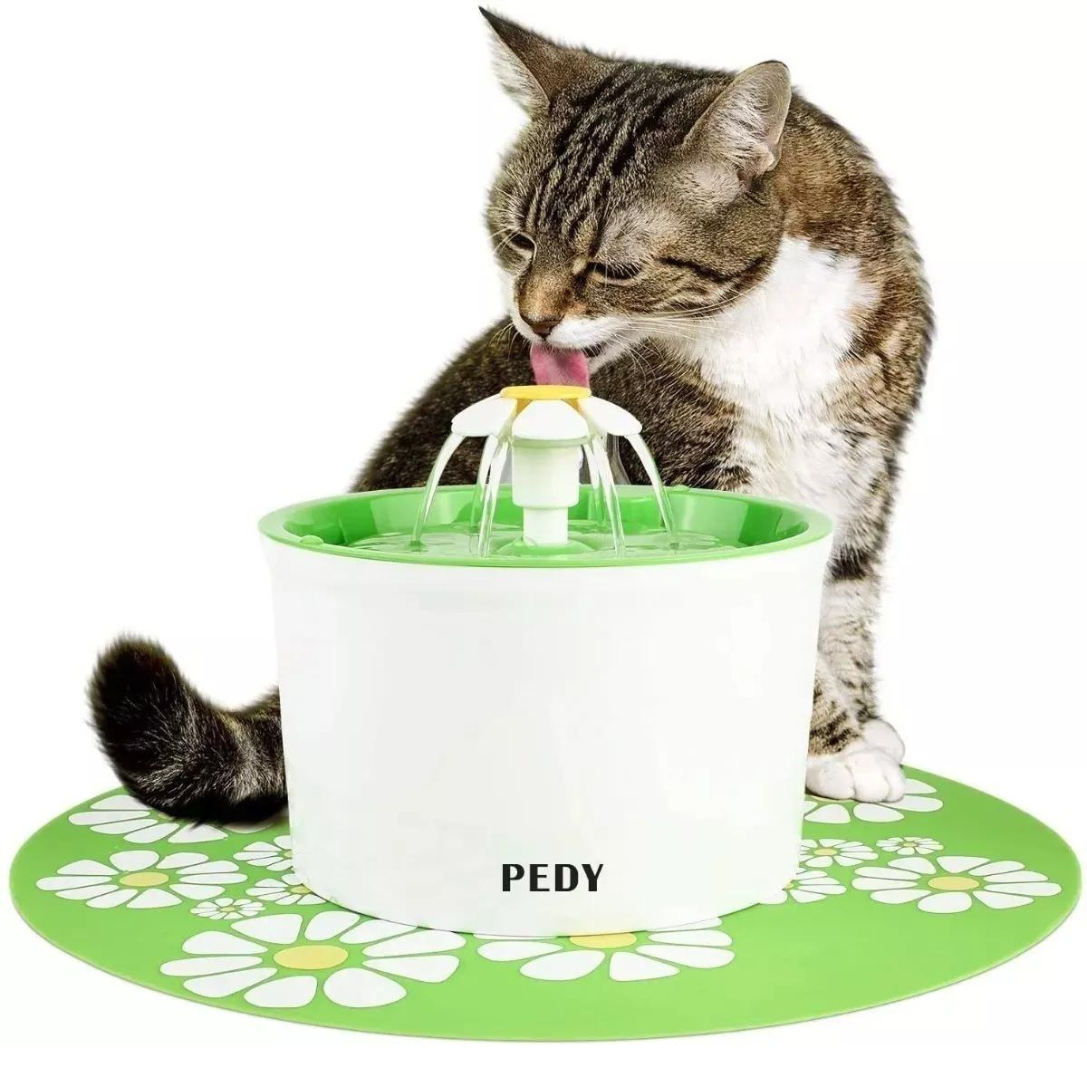 Fuente De Agua Fontanella