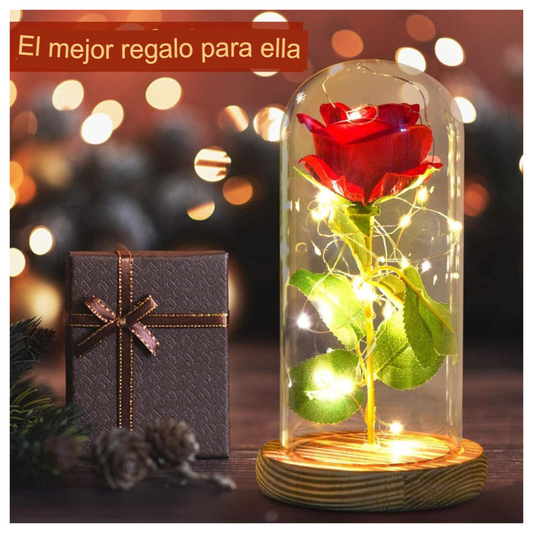 Rosa Luces Led Calidas Cupula