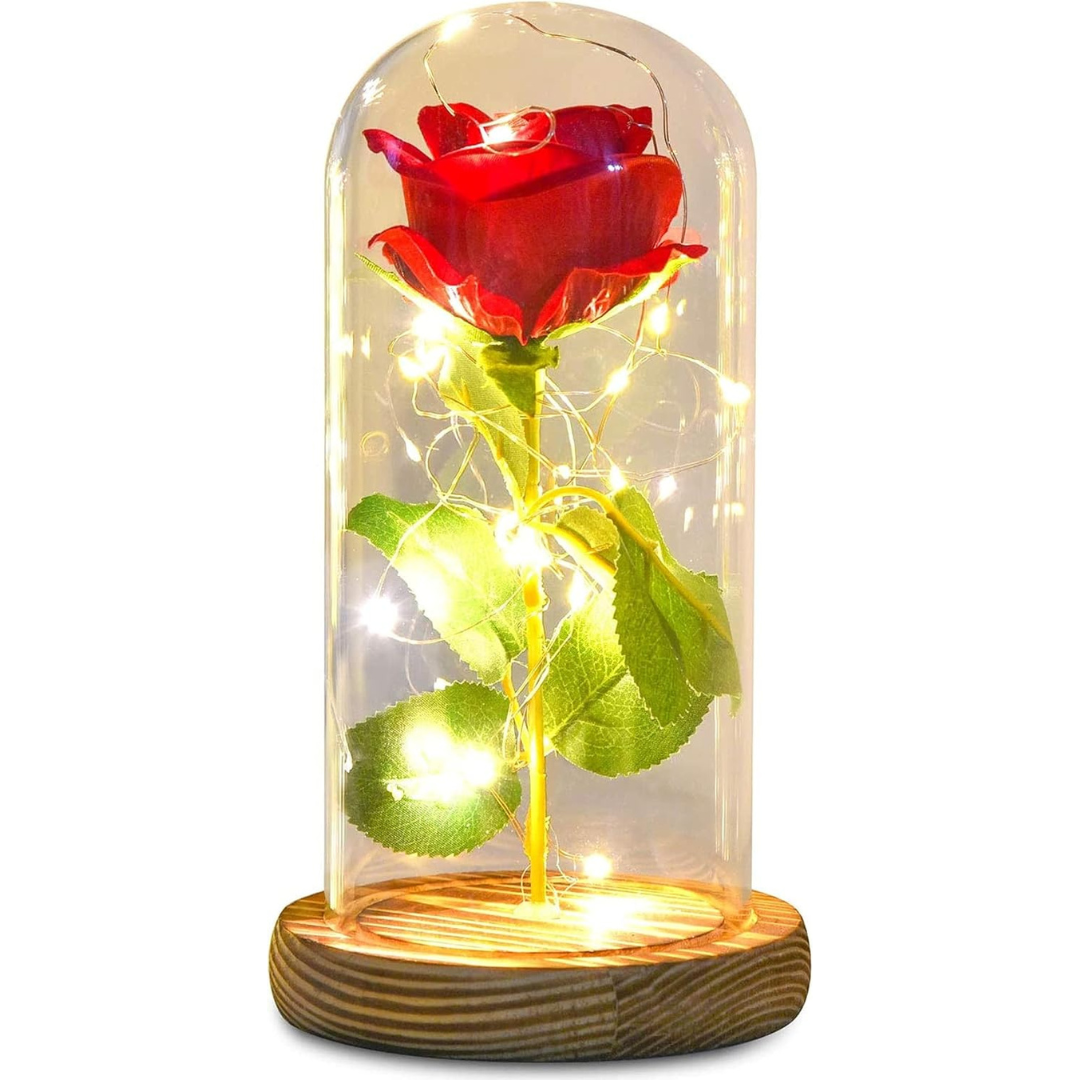 Rosa Luces Led Calidas Cupula