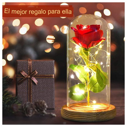 Rosa Luces Led Calidas Cupula