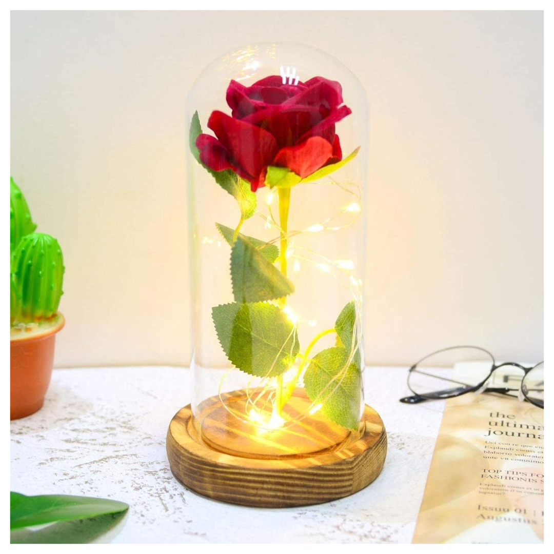 Rosa Luces Led Calidas Cupula